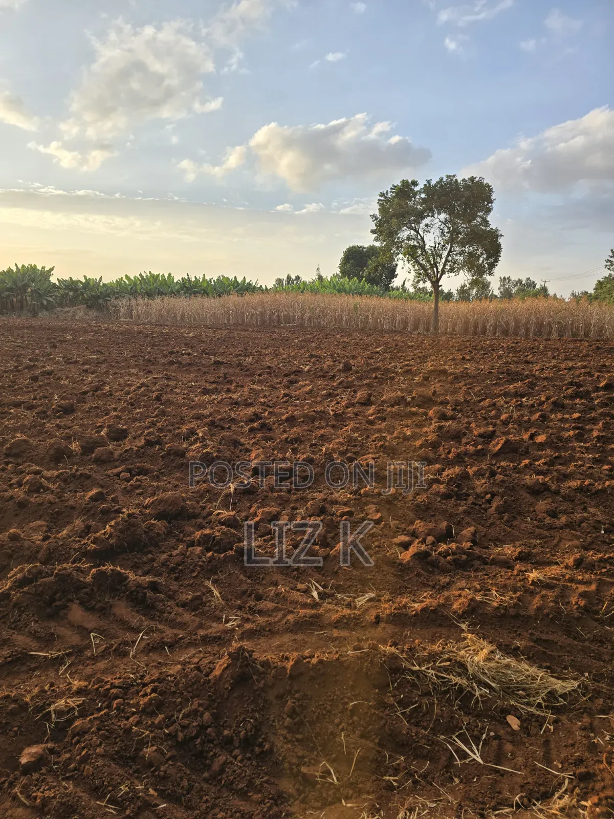 1Acre for Sale in Mugutha
