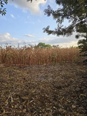 1Acre for Sale in Mugutha