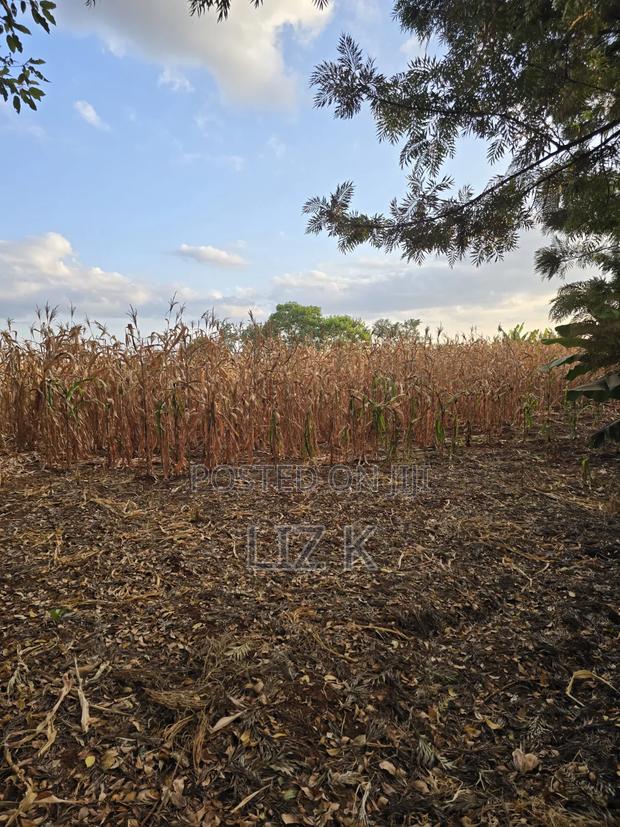 1Acre for Sale in Mugutha - thumbnail 5
