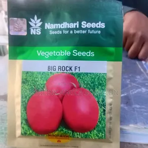 Big Rock Tomatoes F1 5000 Seeds