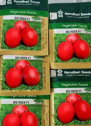 Big Rock Tomatoes F1 5000 Seeds
