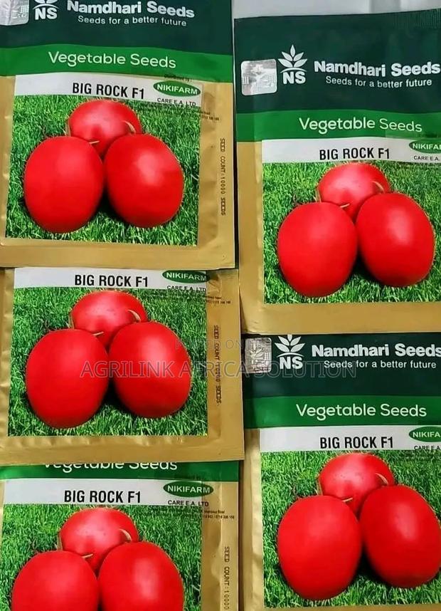 Big Rock Tomatoes F1 5000 Seeds - thumbnail 3
