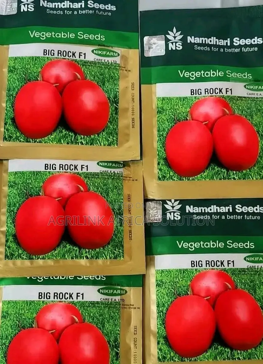 Big Rock Tomatoes F1 5000 Seeds