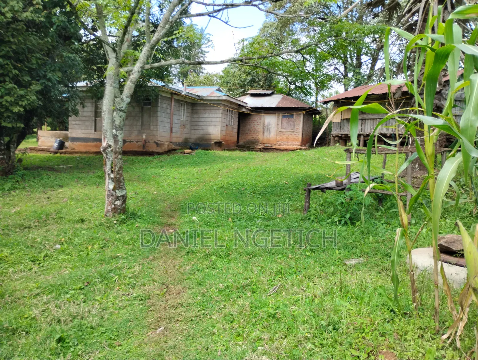 5 Acres Tea Farm for Sale Chemundu-Baraton University
