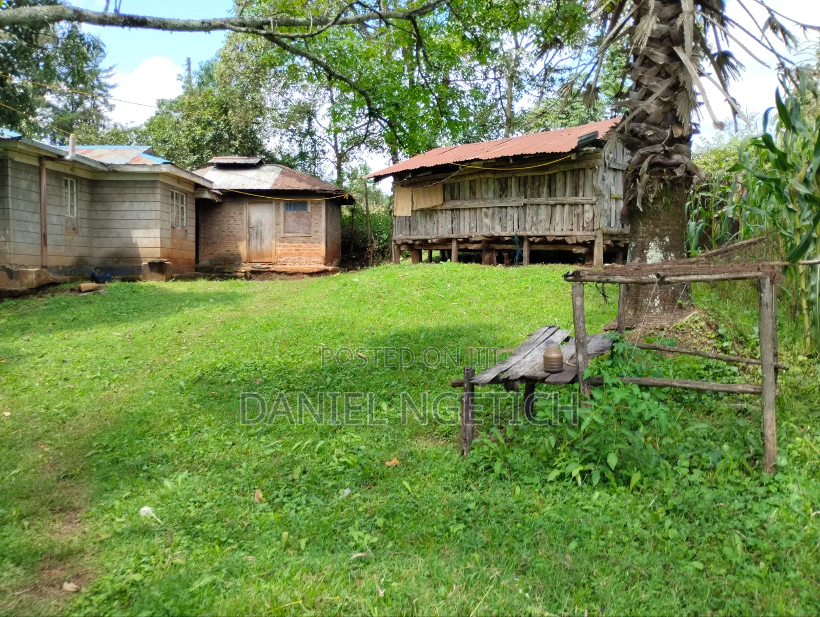 5 Acres Tea Farm for Sale Chemundu-Baraton University