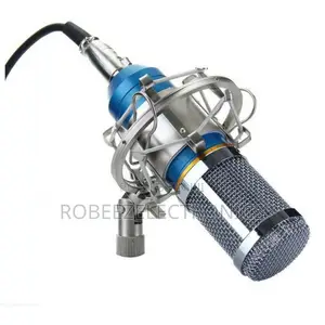 BM-800 Condenser Recording Microphone With Shock Mount - Blue