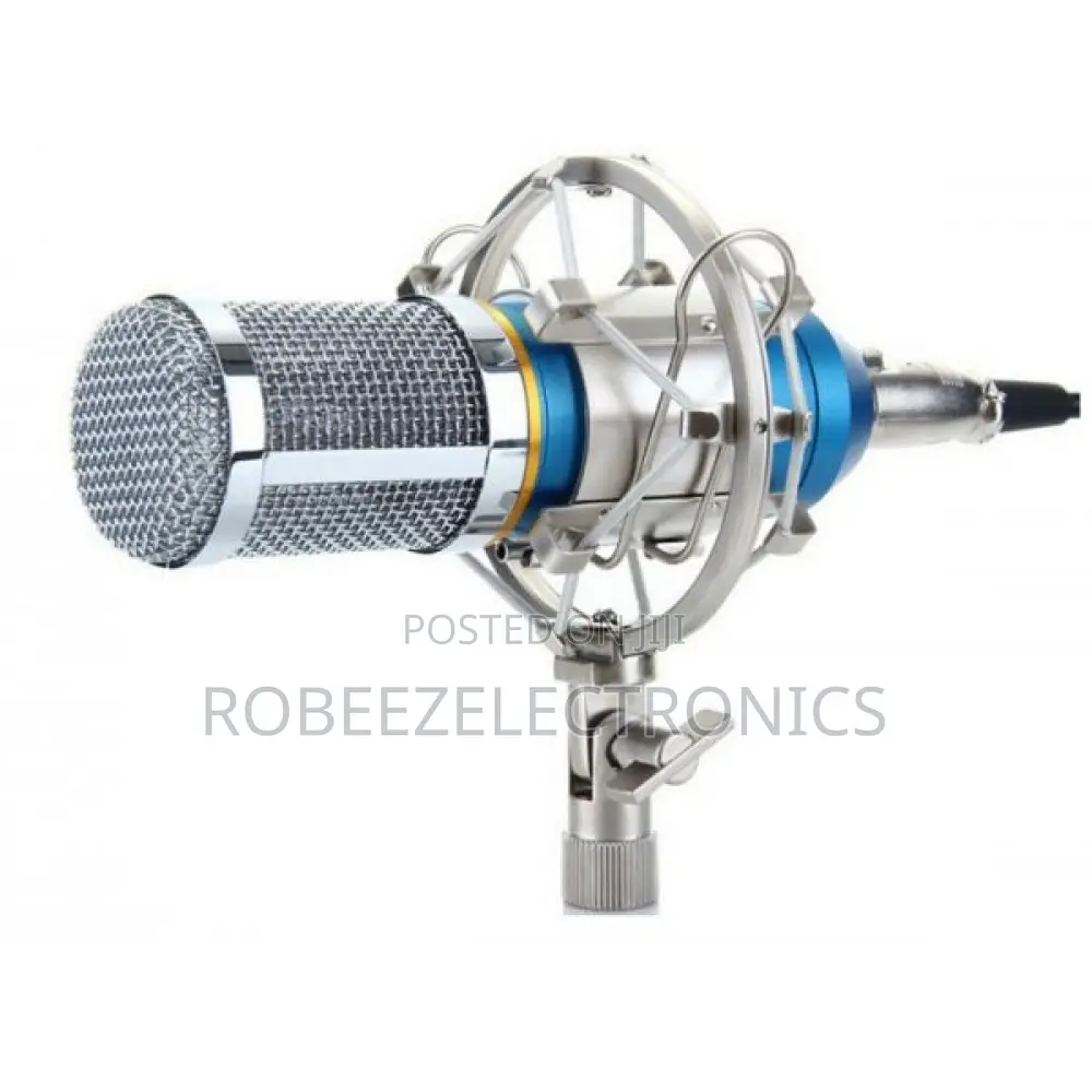 BM-800 Condenser Recording Microphone With Shock Mount - Blue