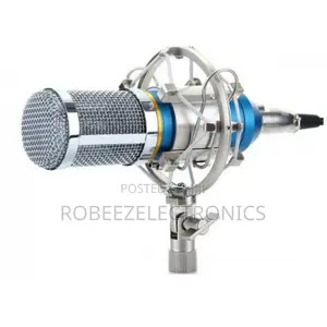 BM-800 Condenser Recording Microphone With Shock Mount - Blue