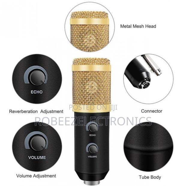 BM-100 USB Condenser Recording Microphone - main view