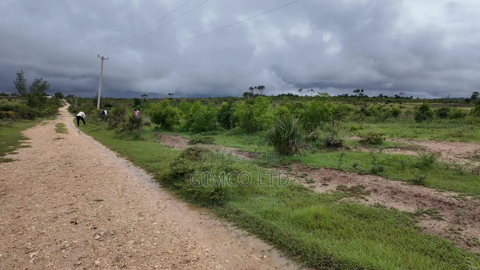 FARM Land for Sale Matuga Dongo Kundu Kwale County
