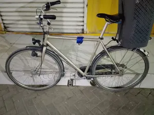 Dutch Hybrid for Sale