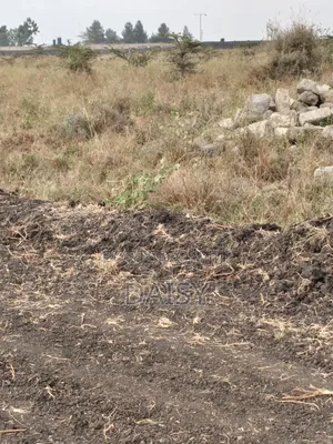 Prime Plots in Sabaki ( Mlolongo)