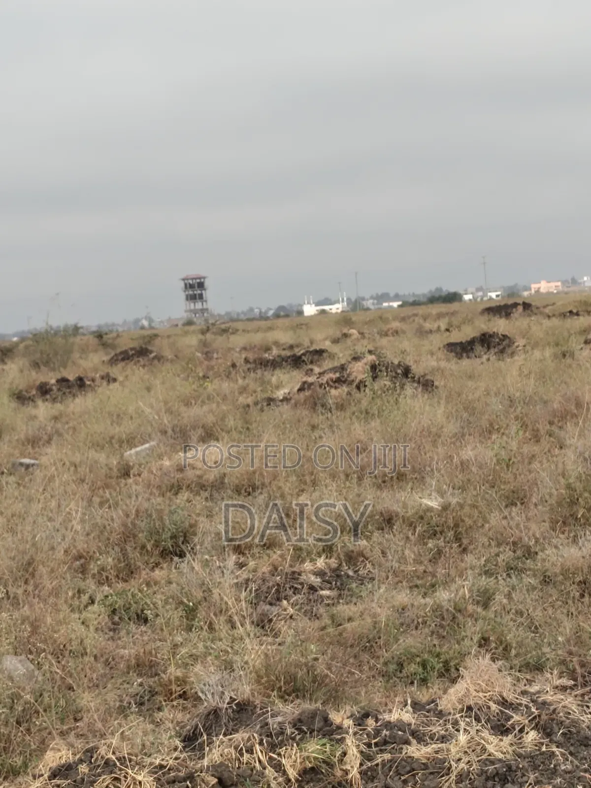 Prime Plots in Sabaki ( Mlolongo)