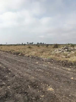 Prime Plots in Sabaki ( Mlolongo)