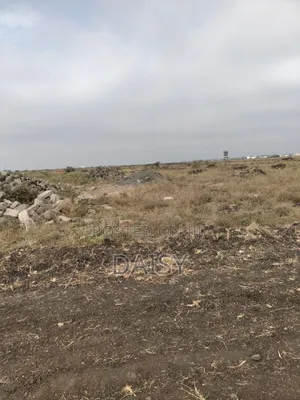 Prime Plots in Sabaki ( Mlolongo)