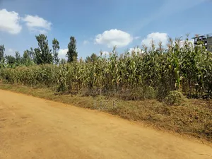1 Acre Land in Mugutha