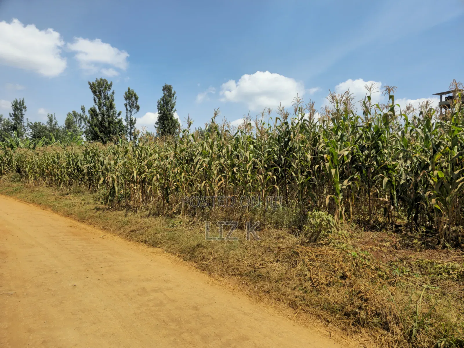 1 Acre Land in Mugutha