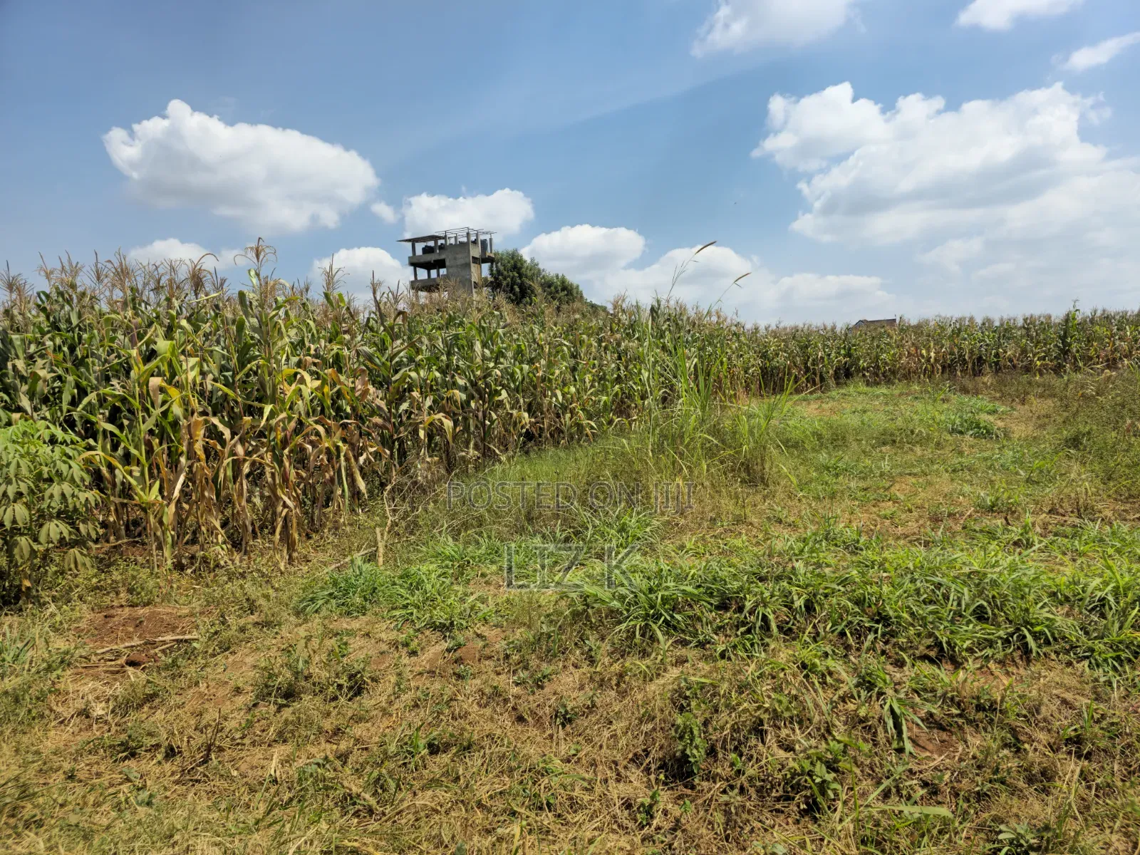 1 Acre Land in Mugutha