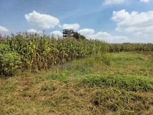 1 Acre Land in Mugutha