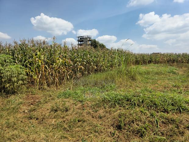 1 Acre Land in Mugutha - thumbnail 4