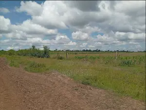 Distress Sale | Two 50x100 Plots in Kantafu, Helicopter, Both