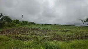FARM Land for Sale Matuga Dongo Kundu Kwale County
