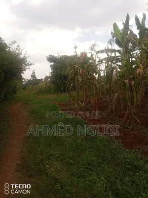 Plot for Sale
