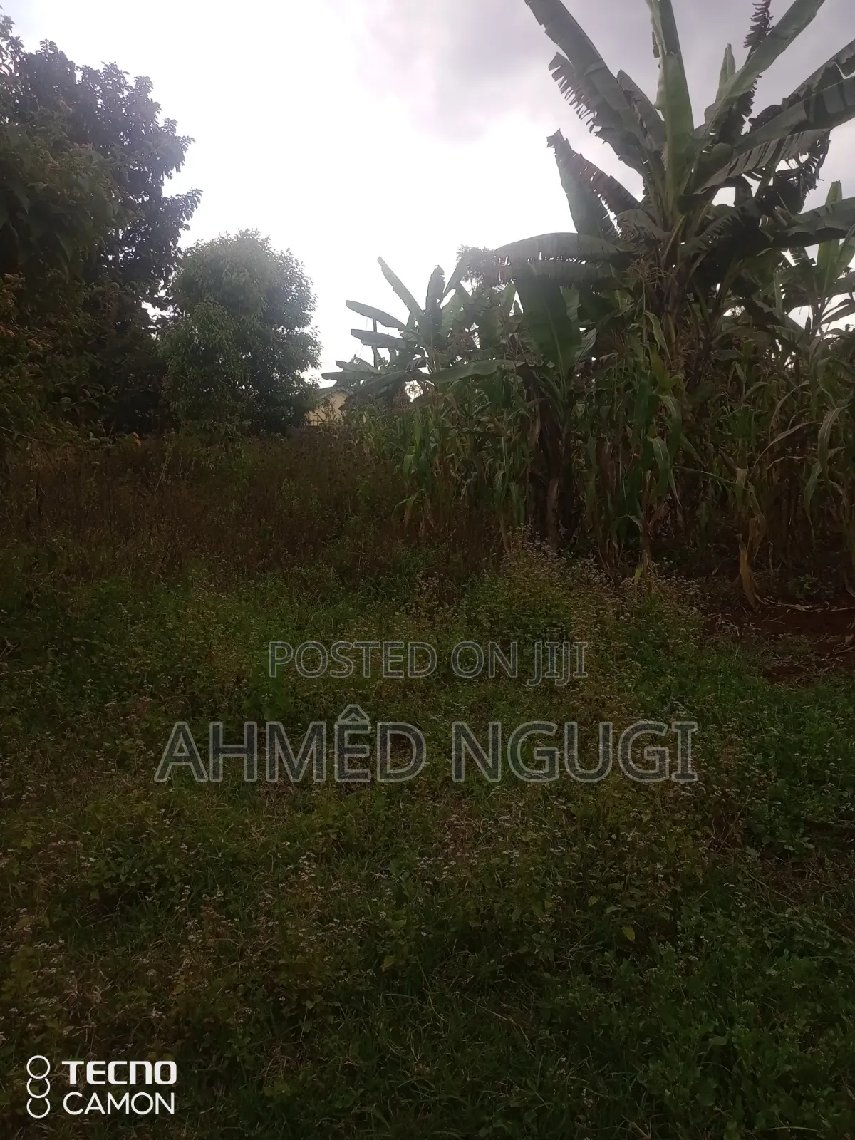 Plot for Sale
