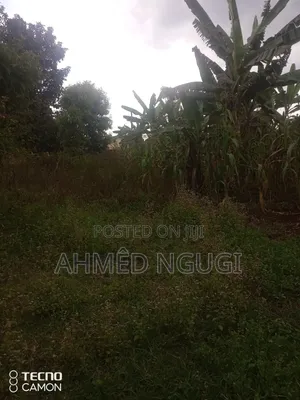 Plot for Sale