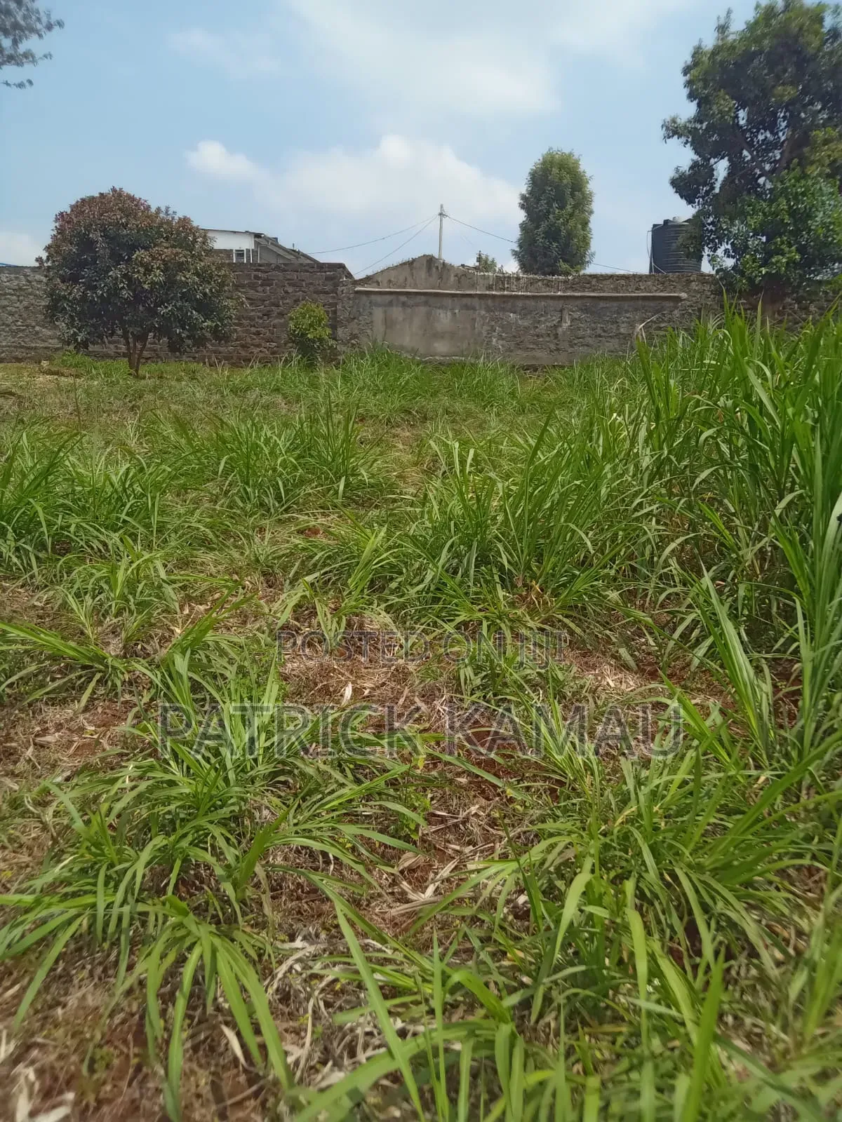 50*100 Plots