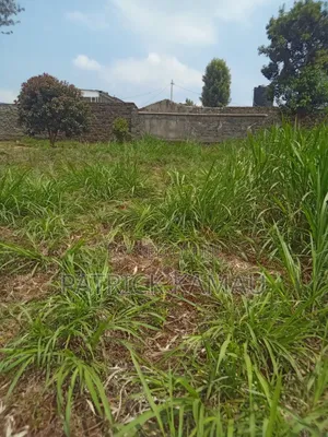 50*100 Plots