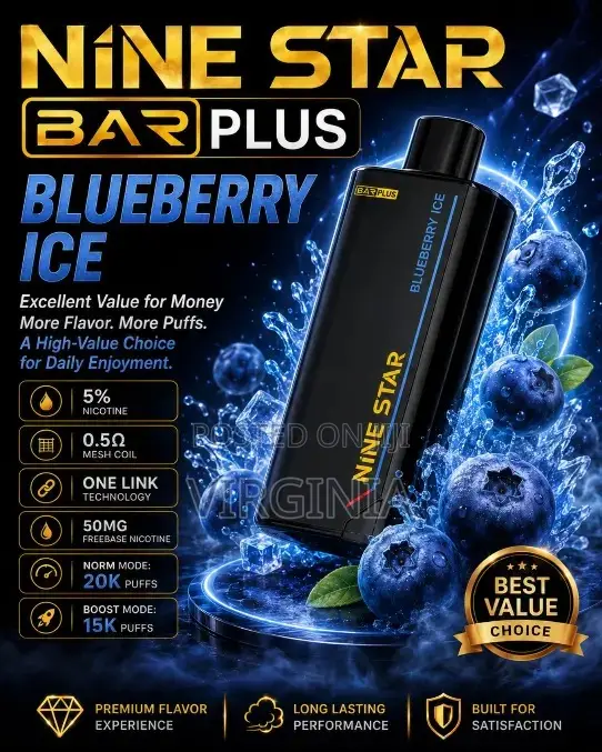 Blue Berry Ice Disposable Vape 20,000 Puffs, USB-C Rechargeable