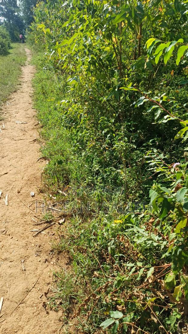 1acre Marama Shinamwenyuli.
