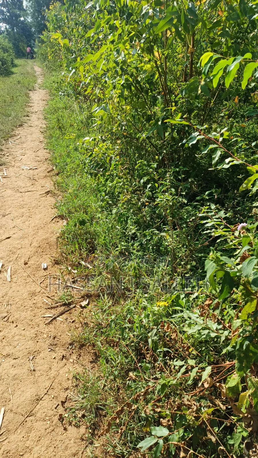 1acre Marama Shinamwenyuli.
