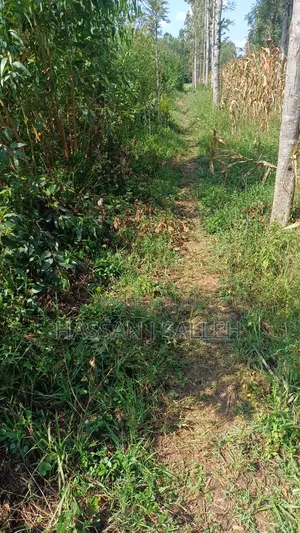1acre Marama Shinamwenyuli.