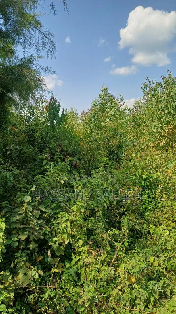 1acre Marama Shinamwenyuli. - thumbnail 5