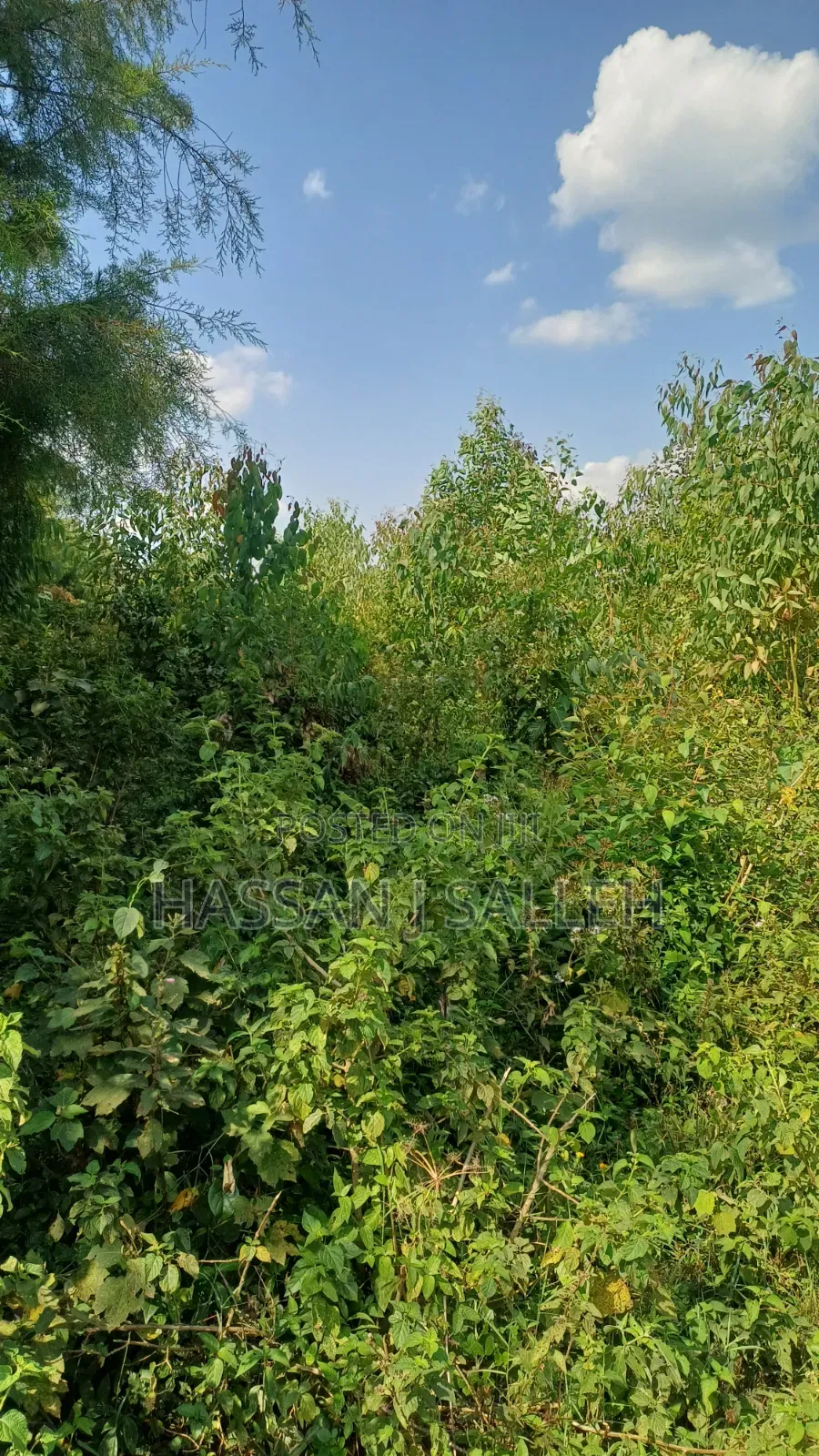 1acre Marama Shinamwenyuli.