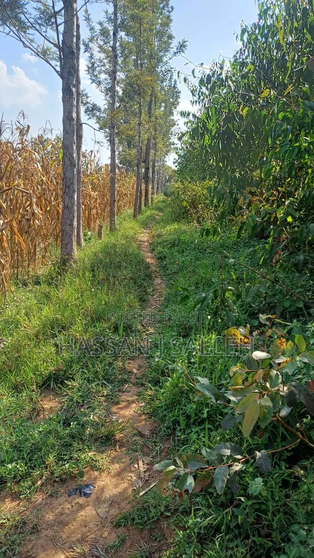 1acre Marama Shinamwenyuli. - thumbnail 7