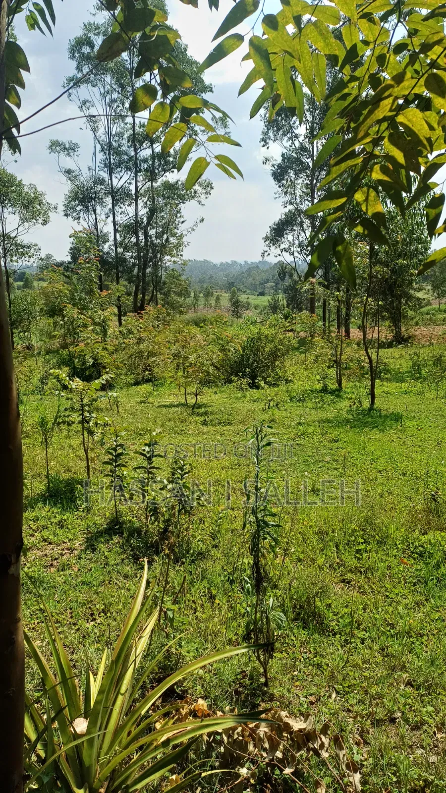 4ACRES Bukaya