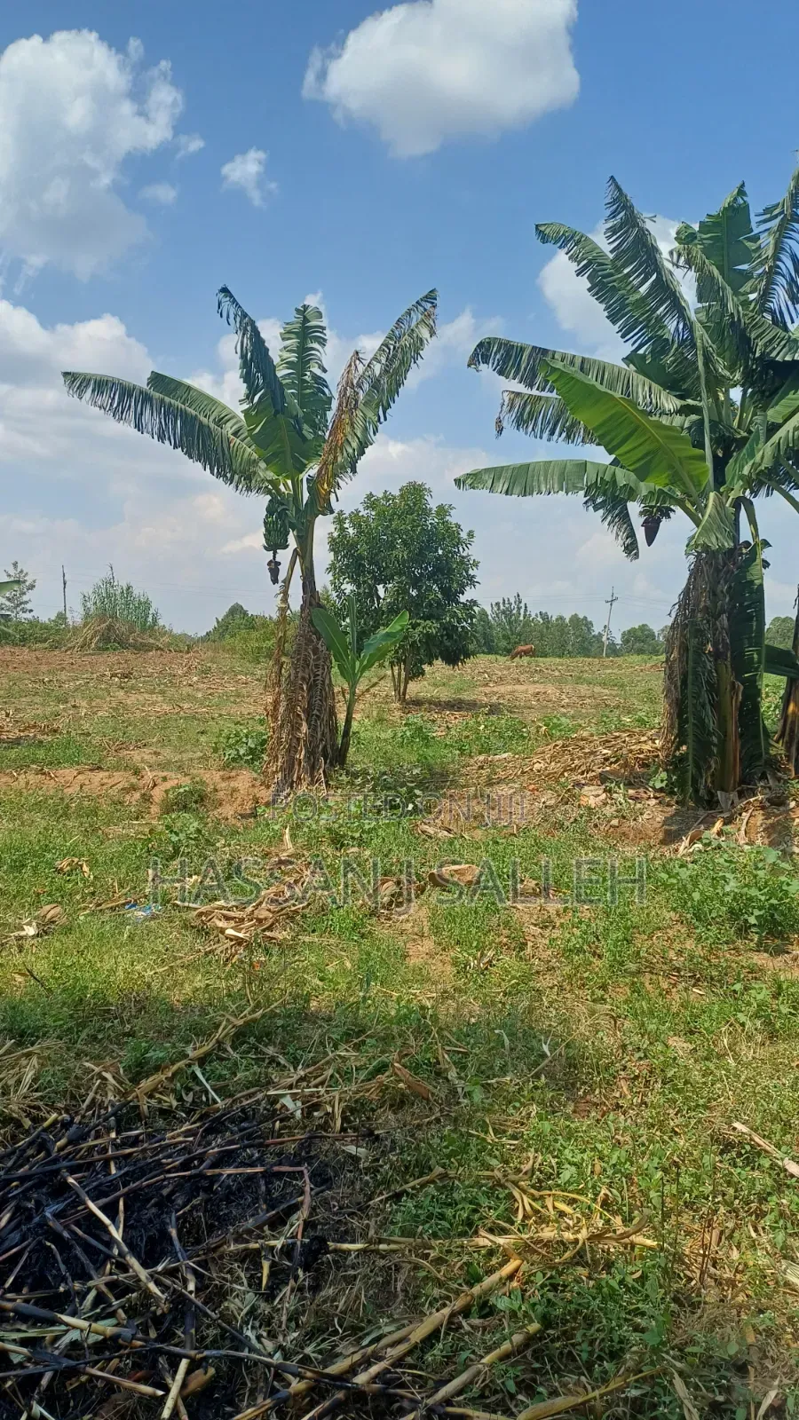 4ACRES Bukaya