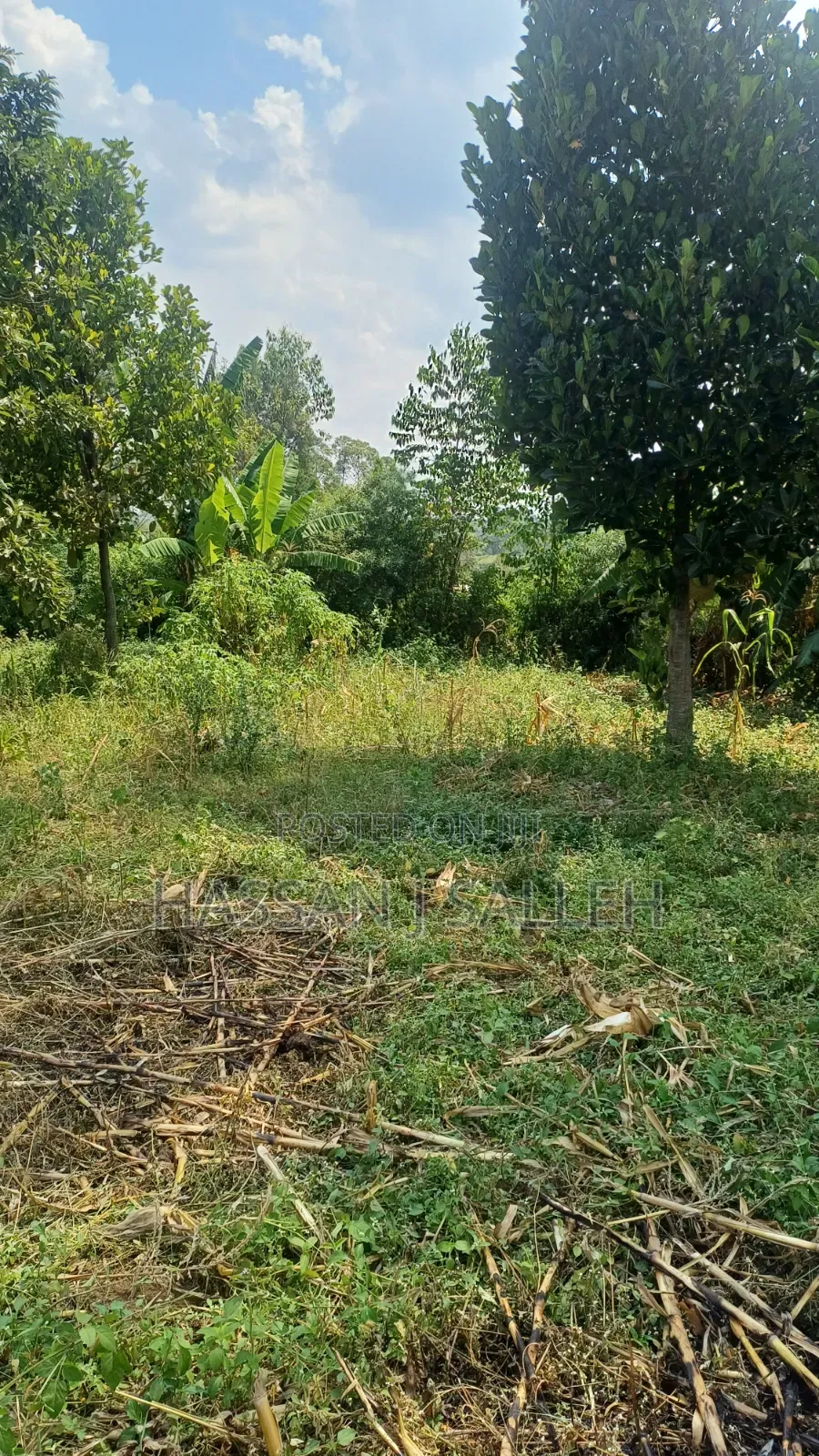 4ACRES Bukaya