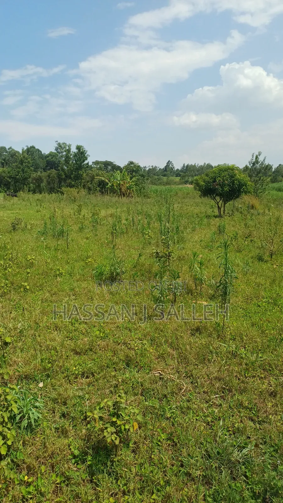 4ACRES Bukaya
