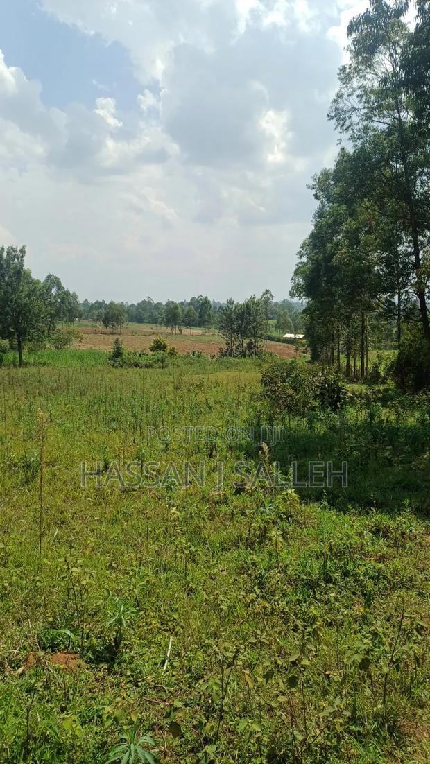 4ACRES Bukaya - thumbnail 17