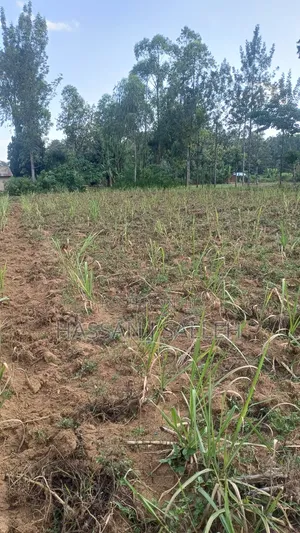 2acres Shikalame