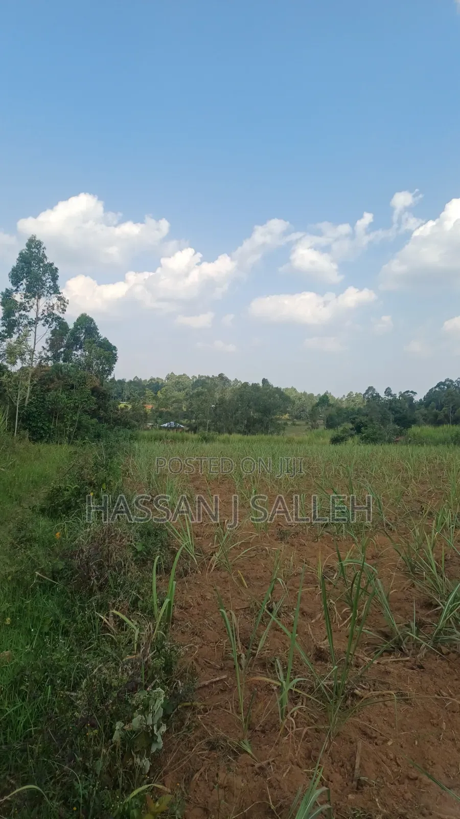 2acres Shikalame