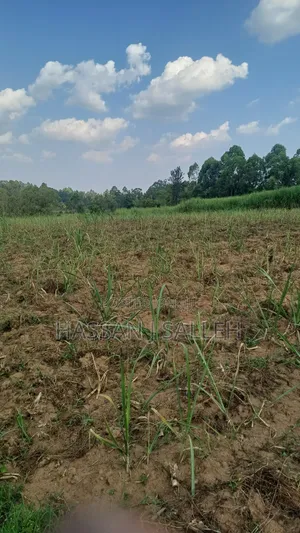 2acres Shikalame