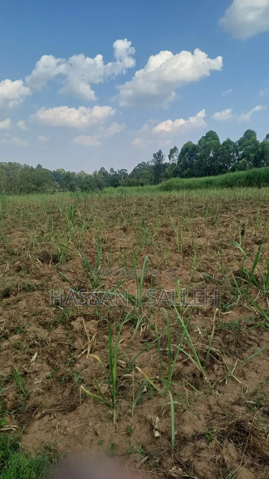 2acres Shikalame