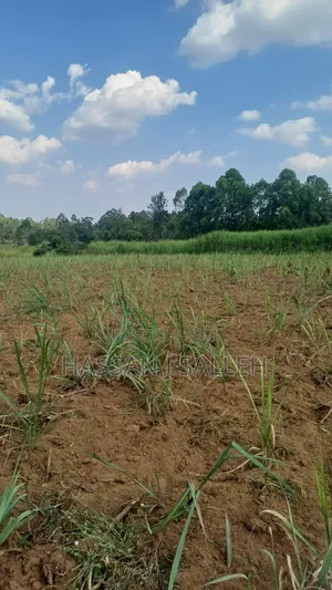 2acres Shikalame