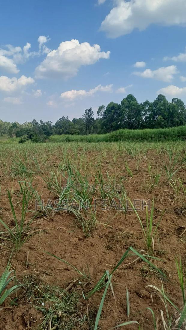 2acres Shikalame - thumbnail 5