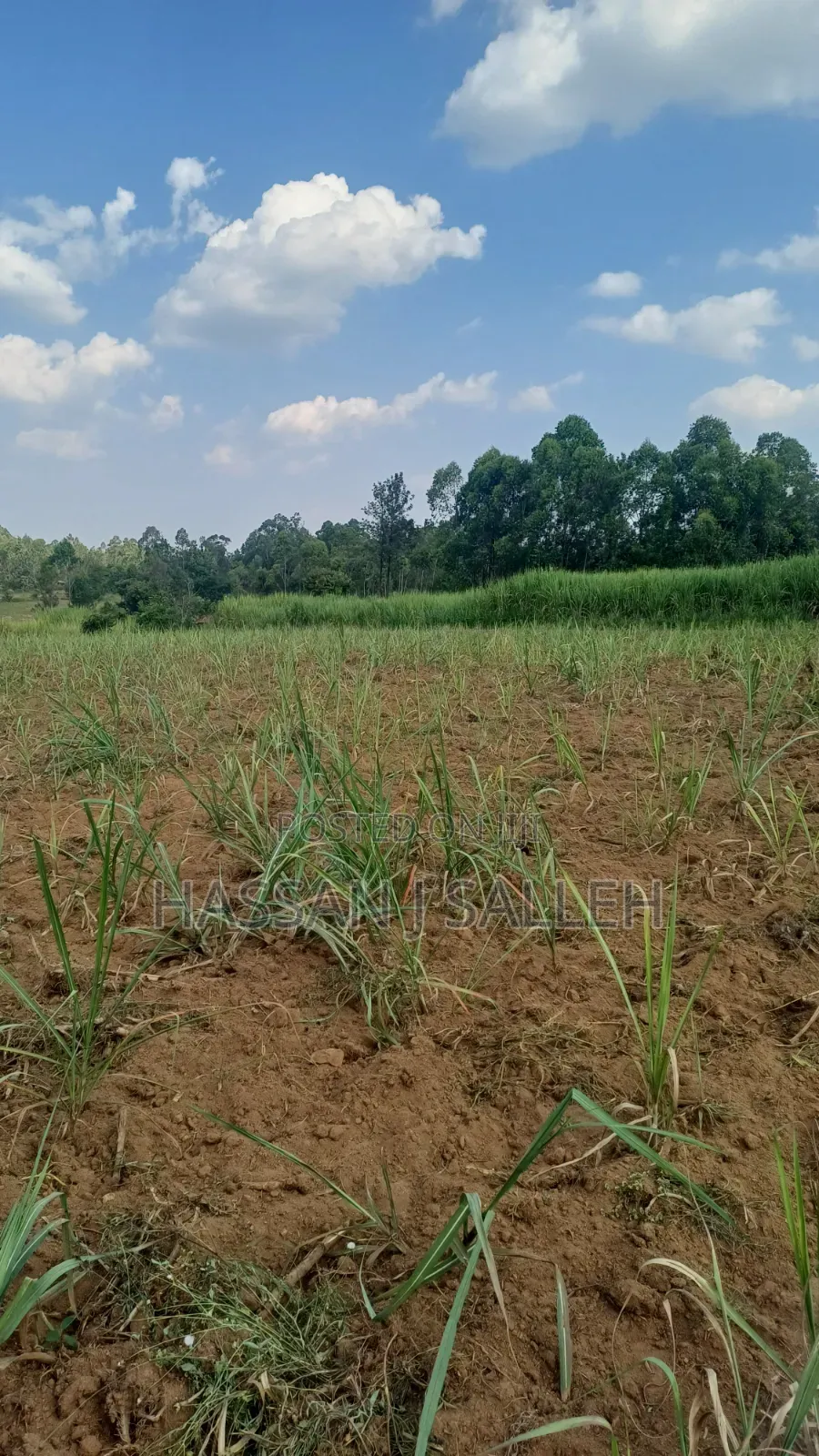 2acres Shikalame